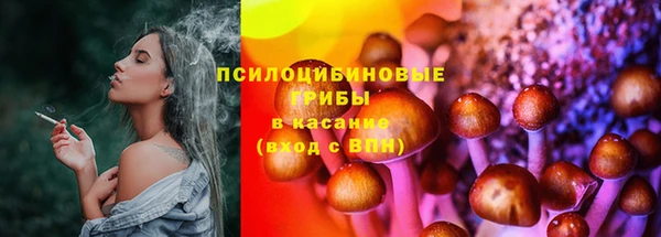 PSILOCYBIN Белоозёрский