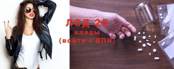 шишки Белокуриха
