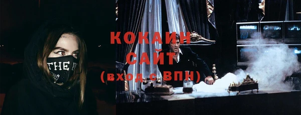 шишки Белокуриха