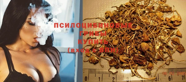 шишки Белокуриха