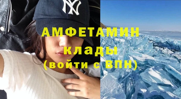шишки Белокуриха