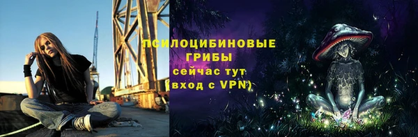 шишки Белокуриха